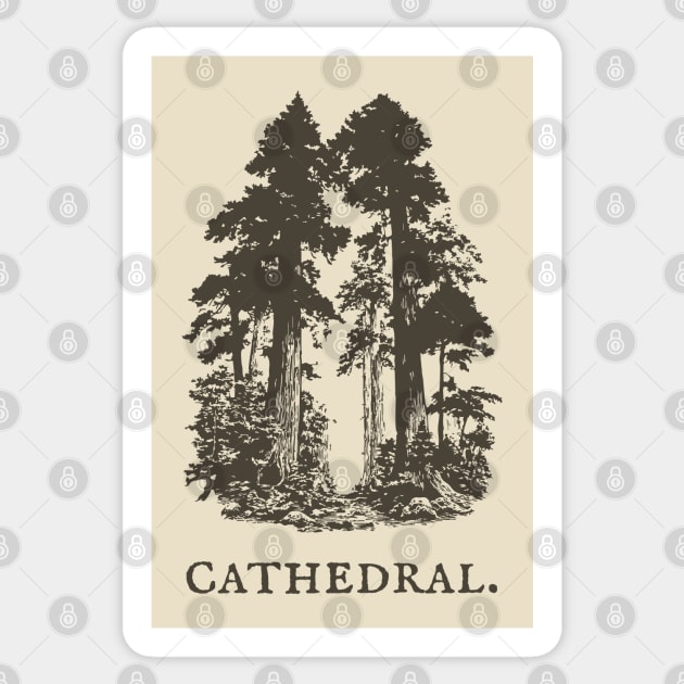 Forest Cathedral Redwood Trees Illustration Sticker by TuncGK